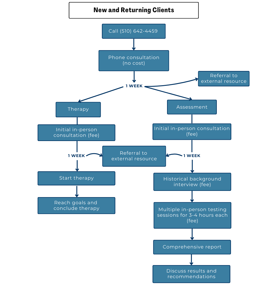 New and Return Clients flow chart