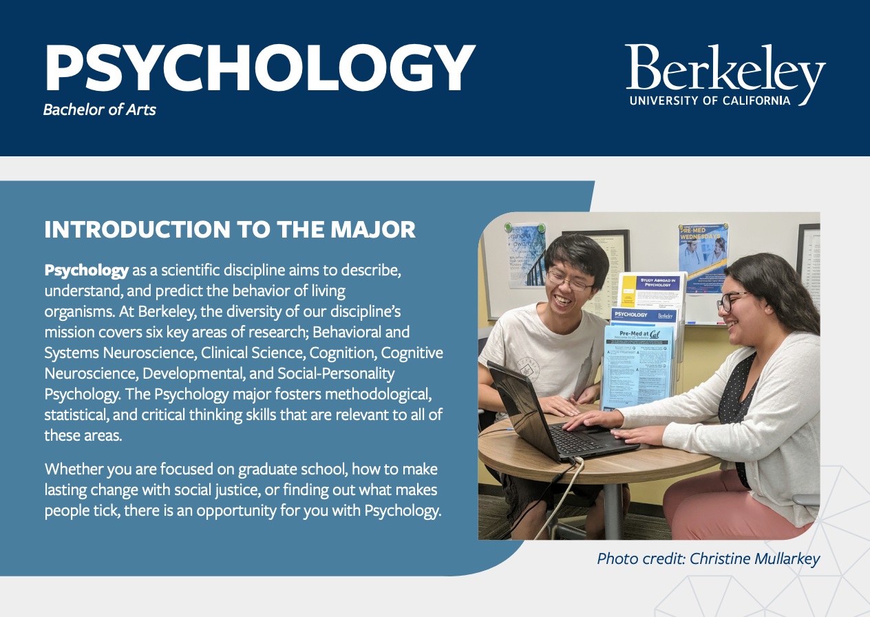 psychology major undergraduate coursework
